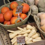 alimentación ecológica hogares